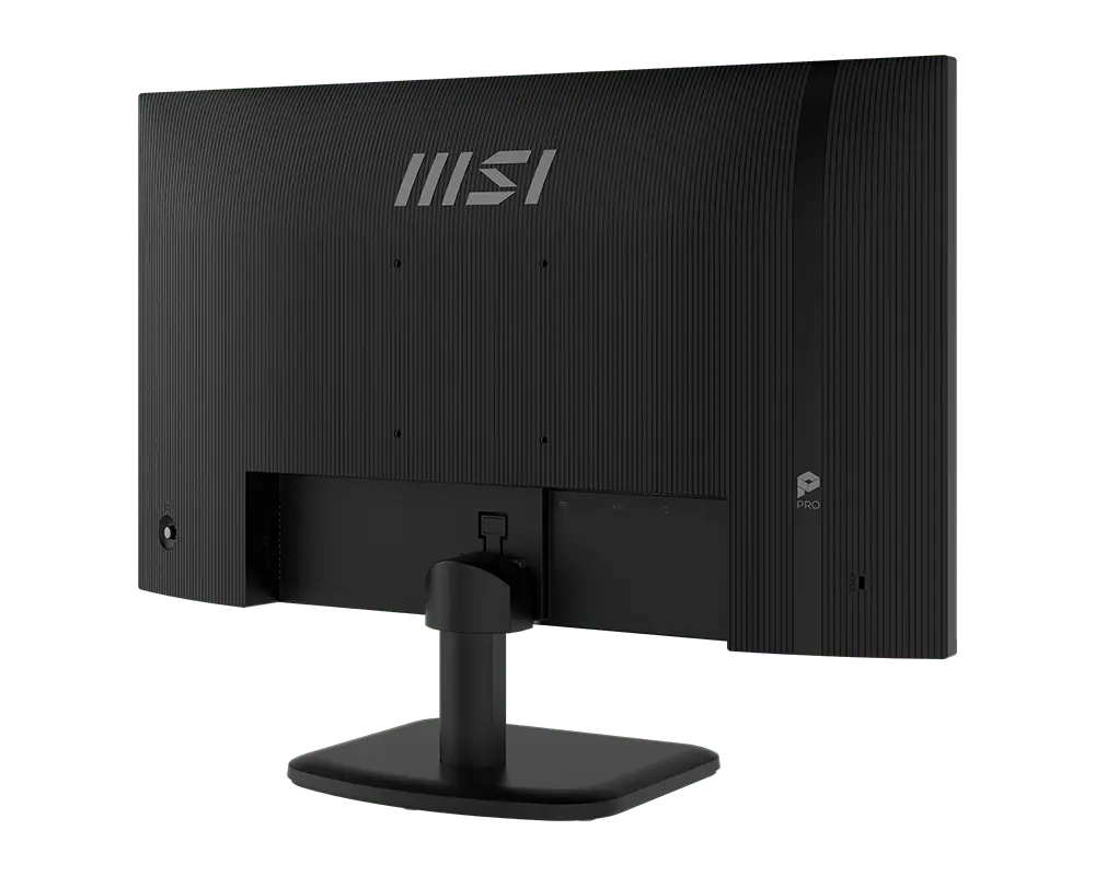 MSI PRO MP251L E2 25 Inch Monitor Microcenter India
