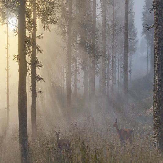 RDR2 PS4 Game – Open World Western Adventure - Microcenter India.