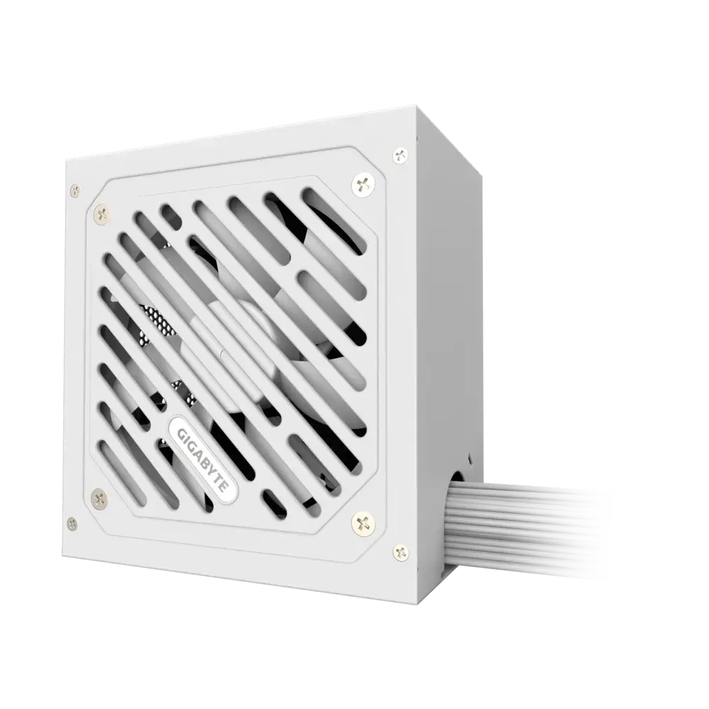 80 + Silver Microcenter India