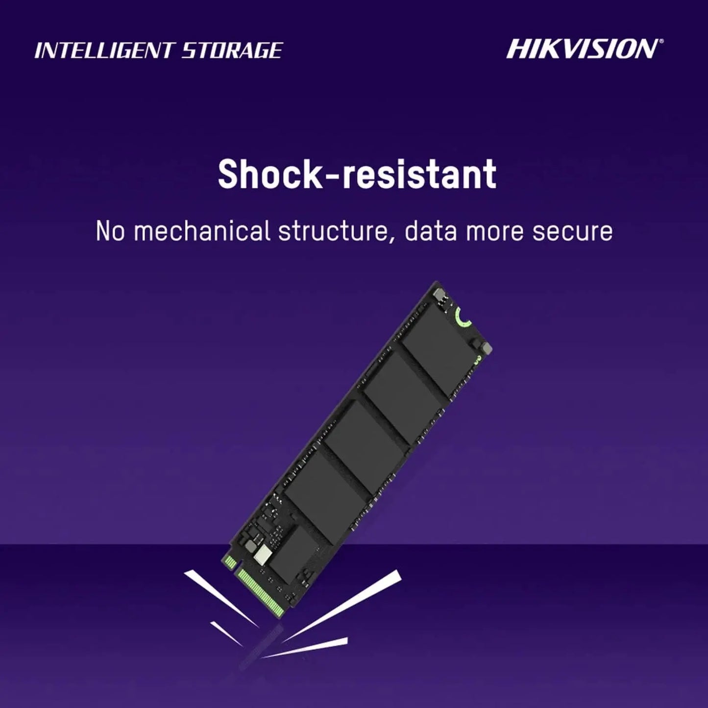 Hikvision E3000 512GB Internal SSD  Microcenter India