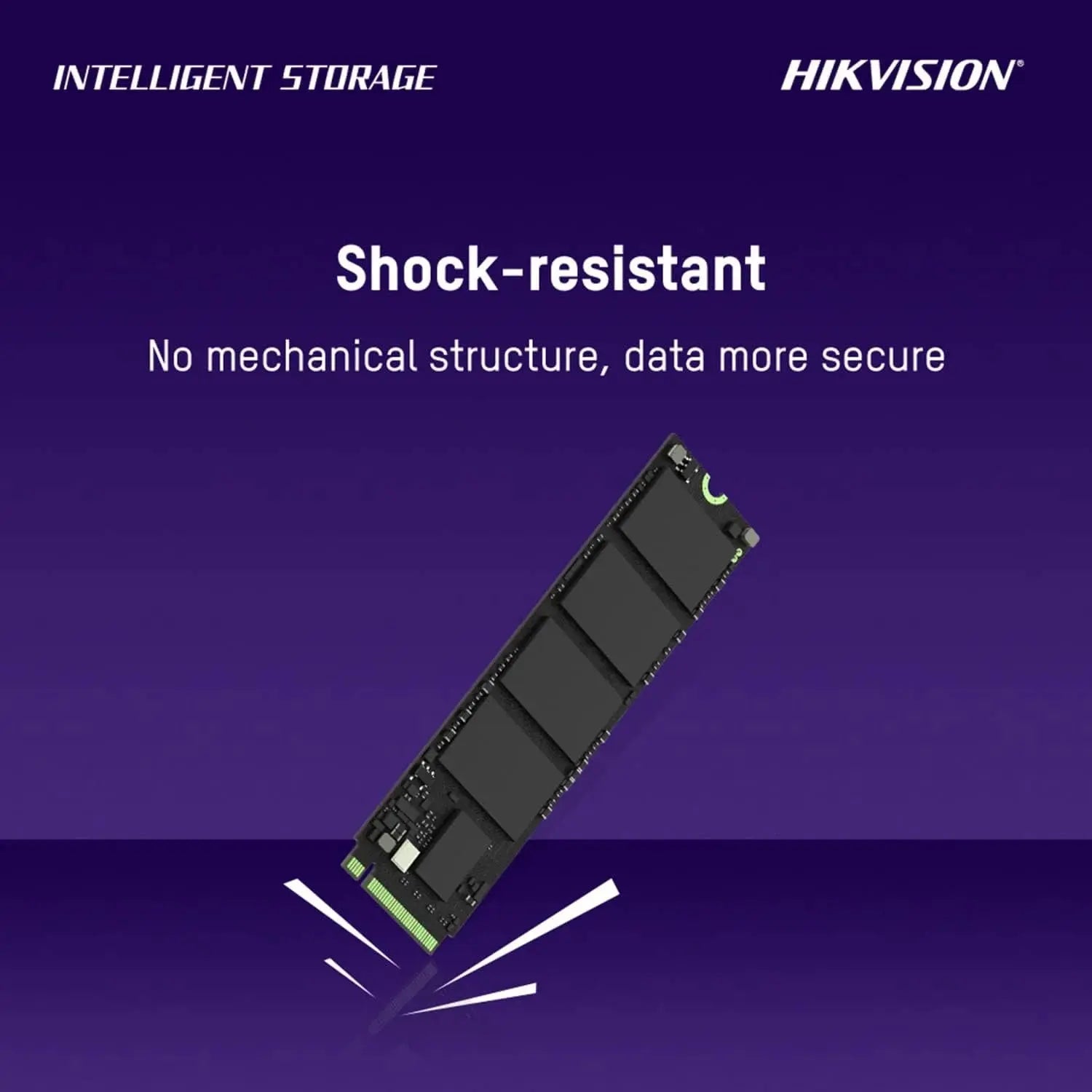 Hikvision E3000 512GB Internal SSD  Microcenter India