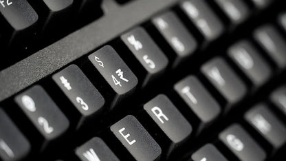 TVS Gold Keyboard Black  Microcenter India