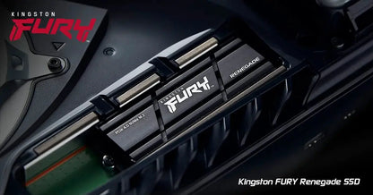 Kingston Fury Renegade 1TB Internal SSD with HeatSink  Microcenter India