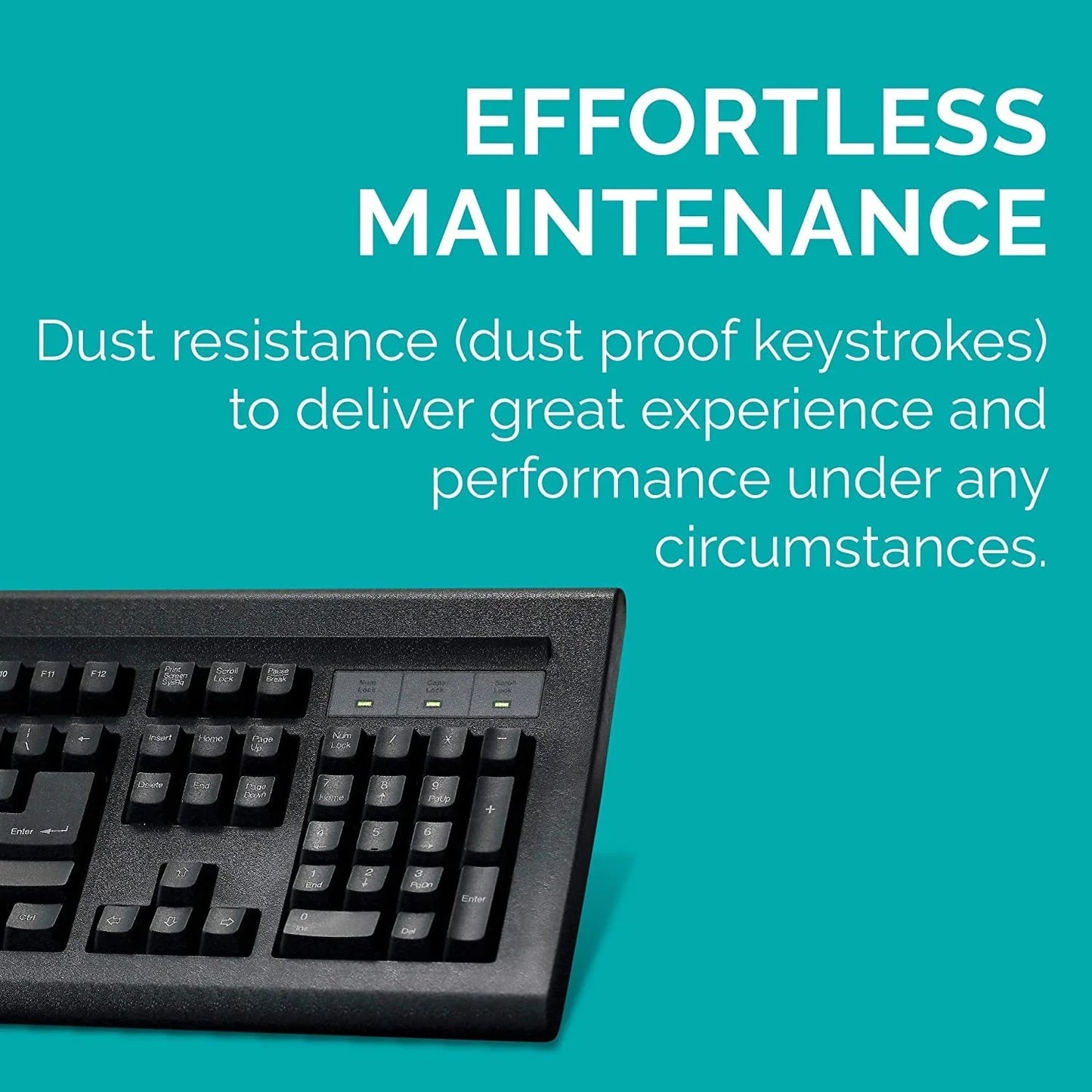 TVS Gold Keyboard Black  Microcenter India