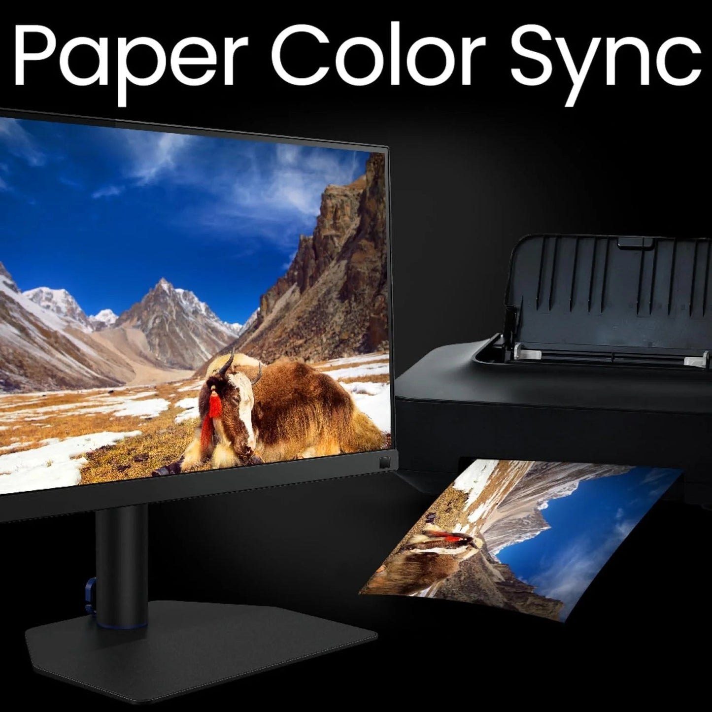 BenQ SW27Q 27 Inch Professional Monitor  Microcenter India