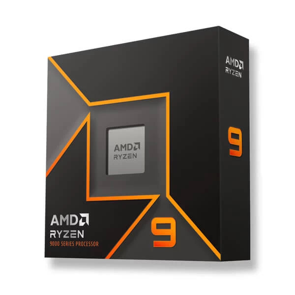 AMD Ryzen 9 9900X, Processor with Radeon Graphics