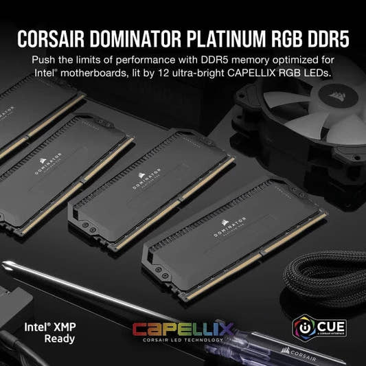 Corsair Dominator Platinum RGB DDR5 64GB (32GBx2) 6000MHz RAM Black  Microcenter India
