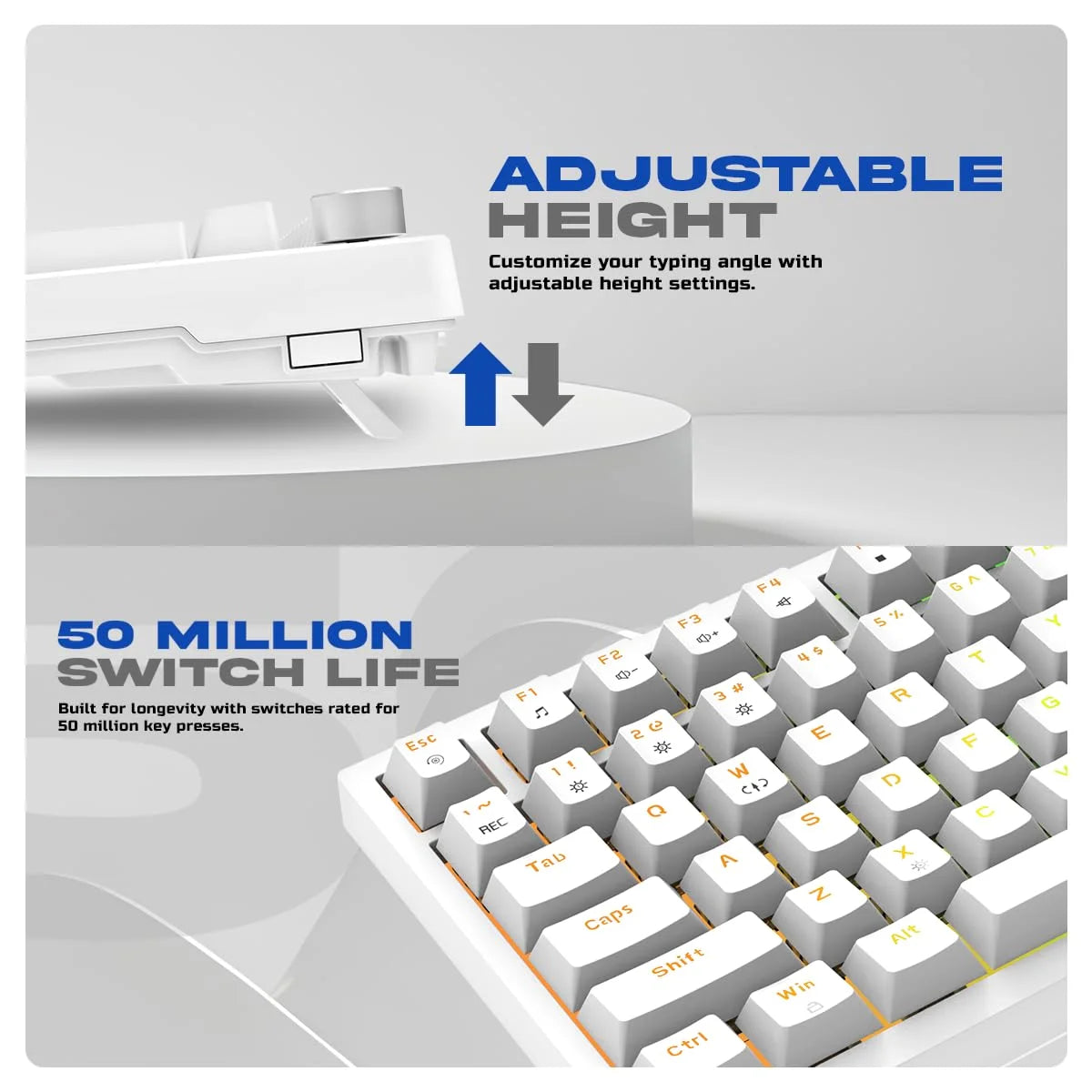 Cosmic Byte Phantom TKL Gasket Mechanical RGB Wired Keyboard (CB-GK-42)  Microcenter India