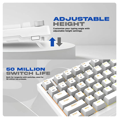 Cosmic Byte Phantom TKL Gasket Mechanical RGB Wired Keyboard (CB-GK-42)  Microcenter India