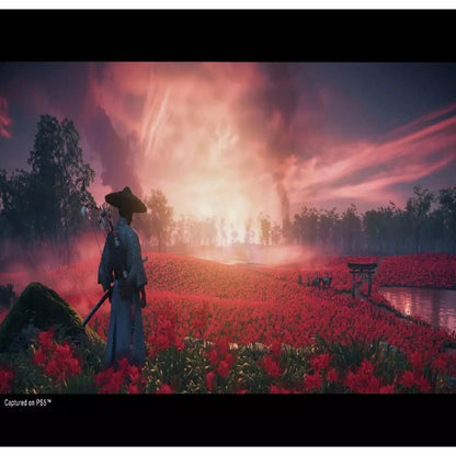 Ghost of Tsushima PS5 Director’s Cut – Action Adventure - Microcenter India.