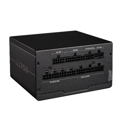 COOLERMASTER 750W ELITE GOLD SMPS - Microcenter India.
