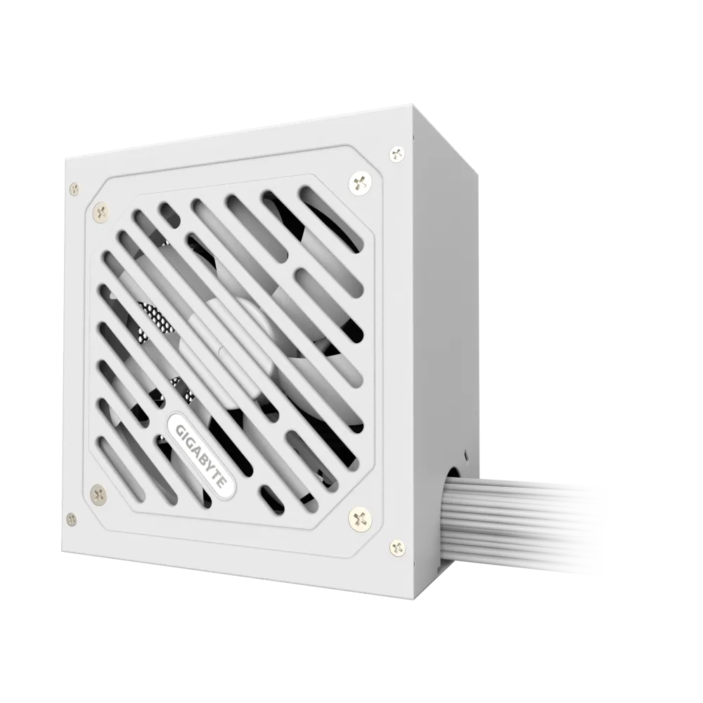 Gigabyte P650SS SMPS  Microcenter India