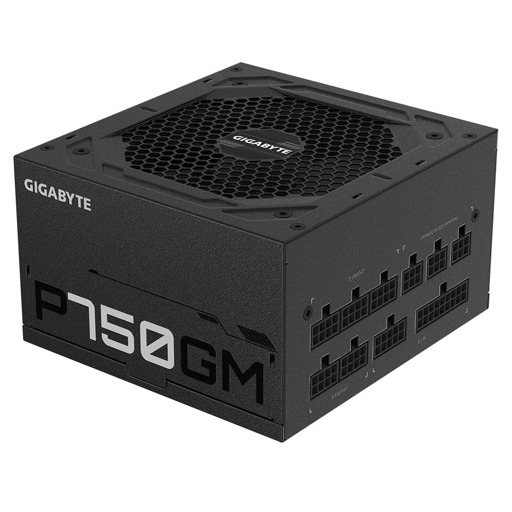 Gigabyte P750GM 80 Plus Gold SMPS  Microcenter India