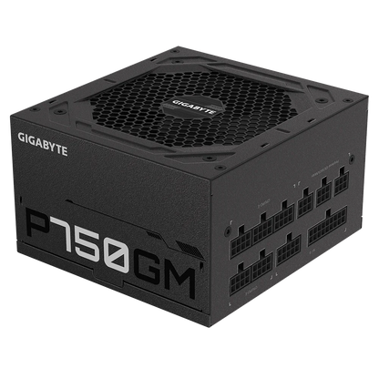 Gigabyte P750GM 80 Plus Gold SMPS  Microcenter India