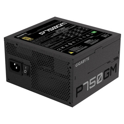 Gigabyte P750GM 80 Plus Gold SMPS  Microcenter India