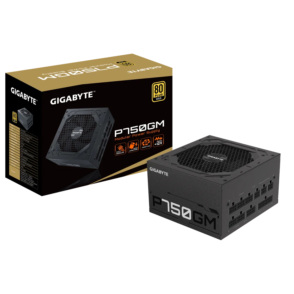 Gigabyte P750GM 80 Plus Gold SMPS  Microcenter India