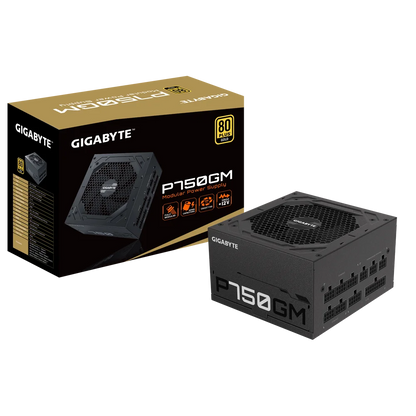 Gigabyte P750GM 80 Plus Gold SMPS  Microcenter India