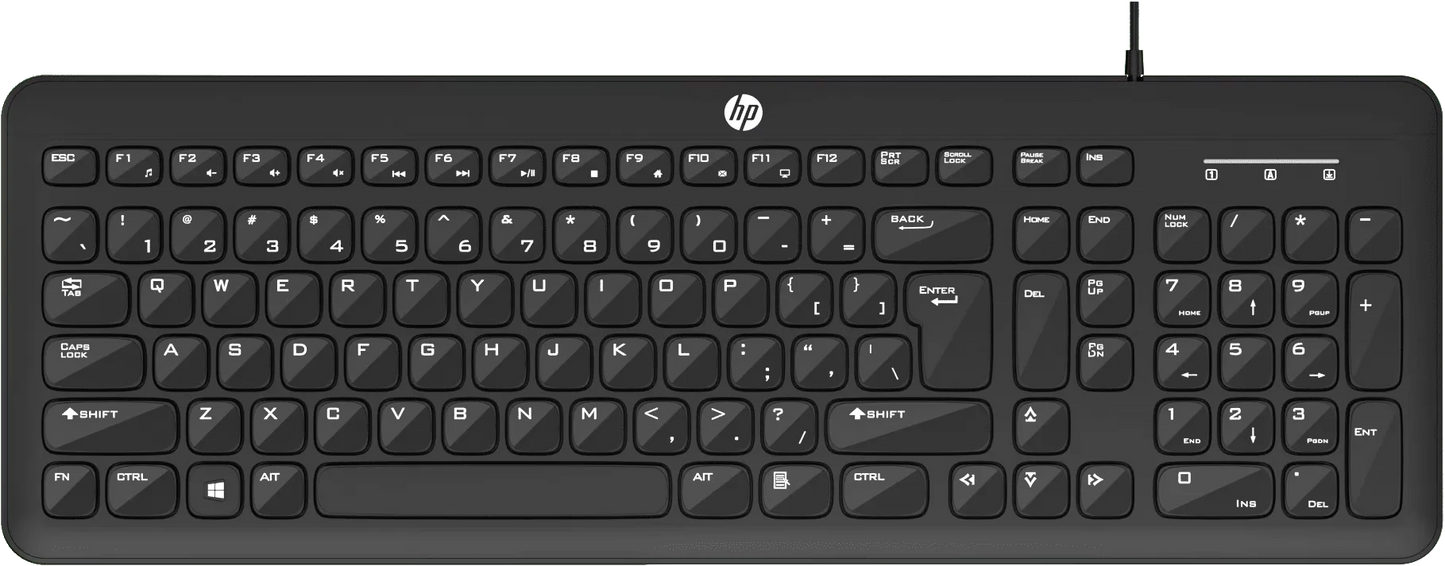 HP K160 Wired Keyboard 