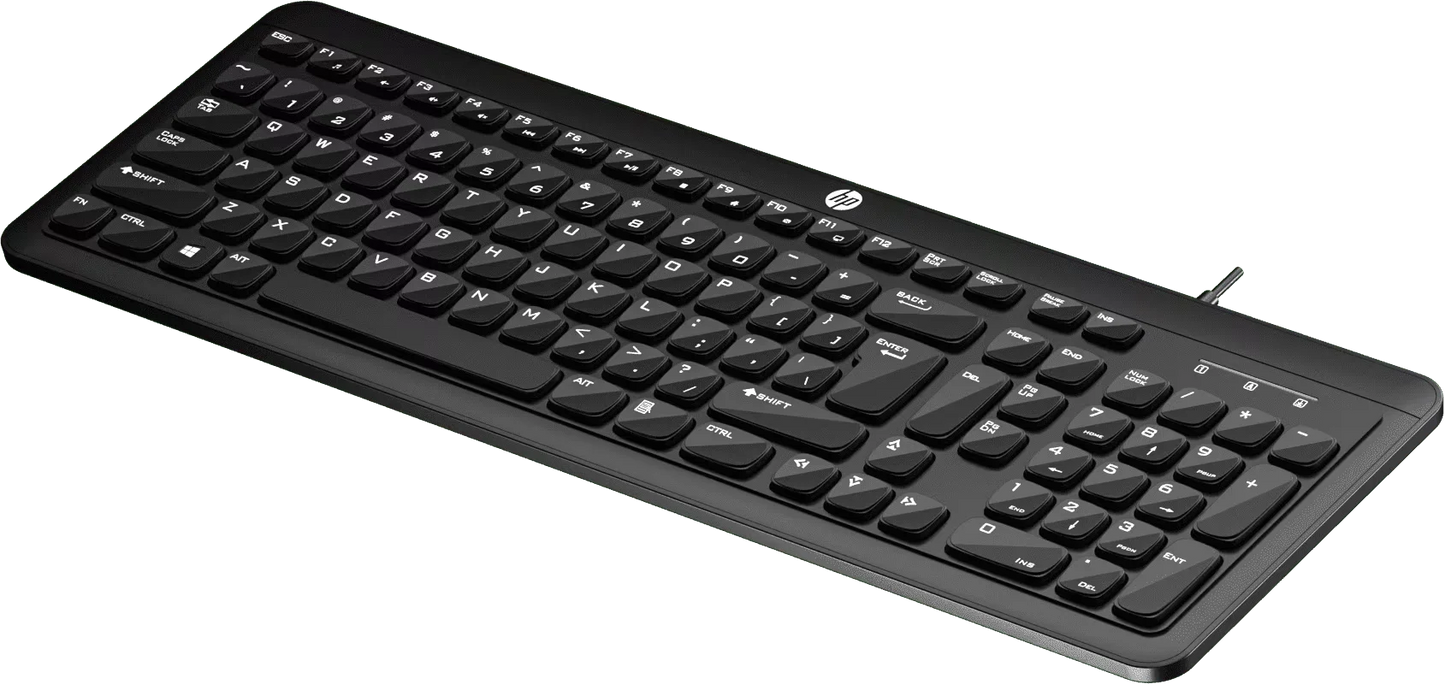 HP K160 Wired Keyboard 