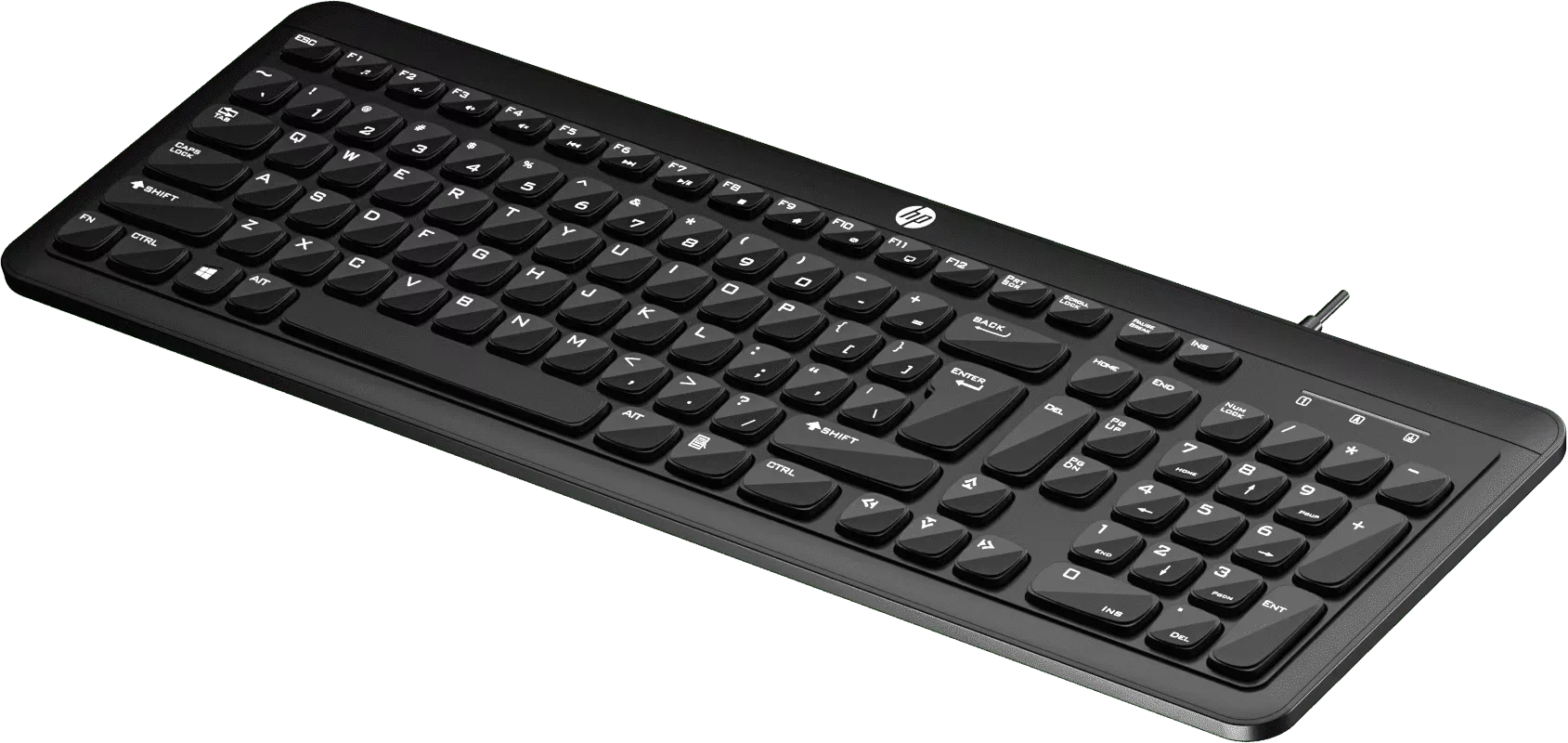 HP K160 Wired Keyboard 
