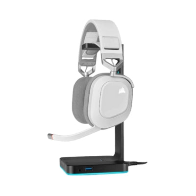 Corsair HS80 RGB WIRELESS Premium Gaming Headset with Spatial Audio  Microcenter India