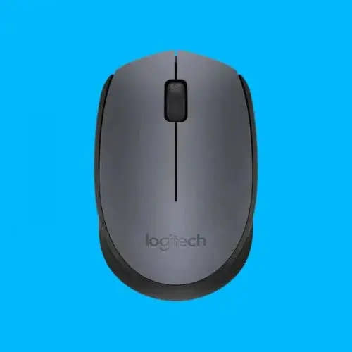 Logitech M171 Wireless Mouse - Microcenter India.