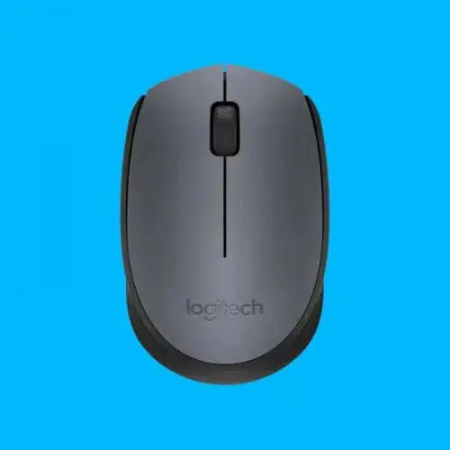 Logitech M171 Wireless Mouse - Microcenter India.