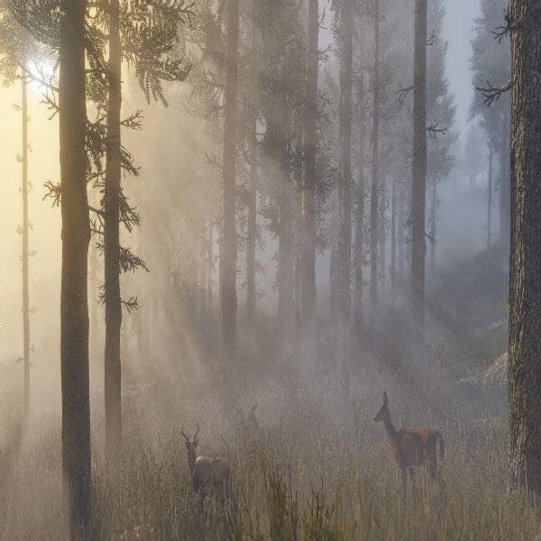 RDR2 PS4 Game – Open World Western Adventure - Microcenter India.