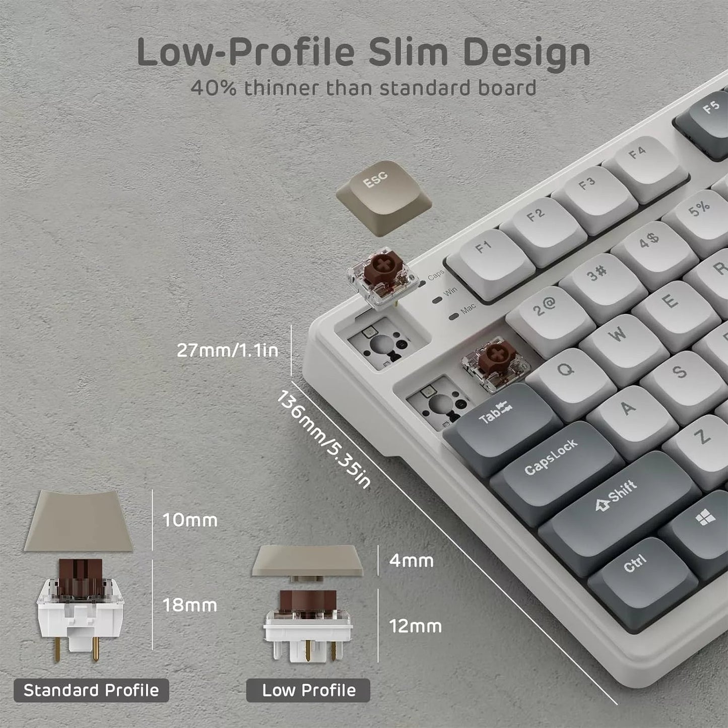 Royal Kludge RK N80 Low profile Mechanical Keyboard  Microcenter India