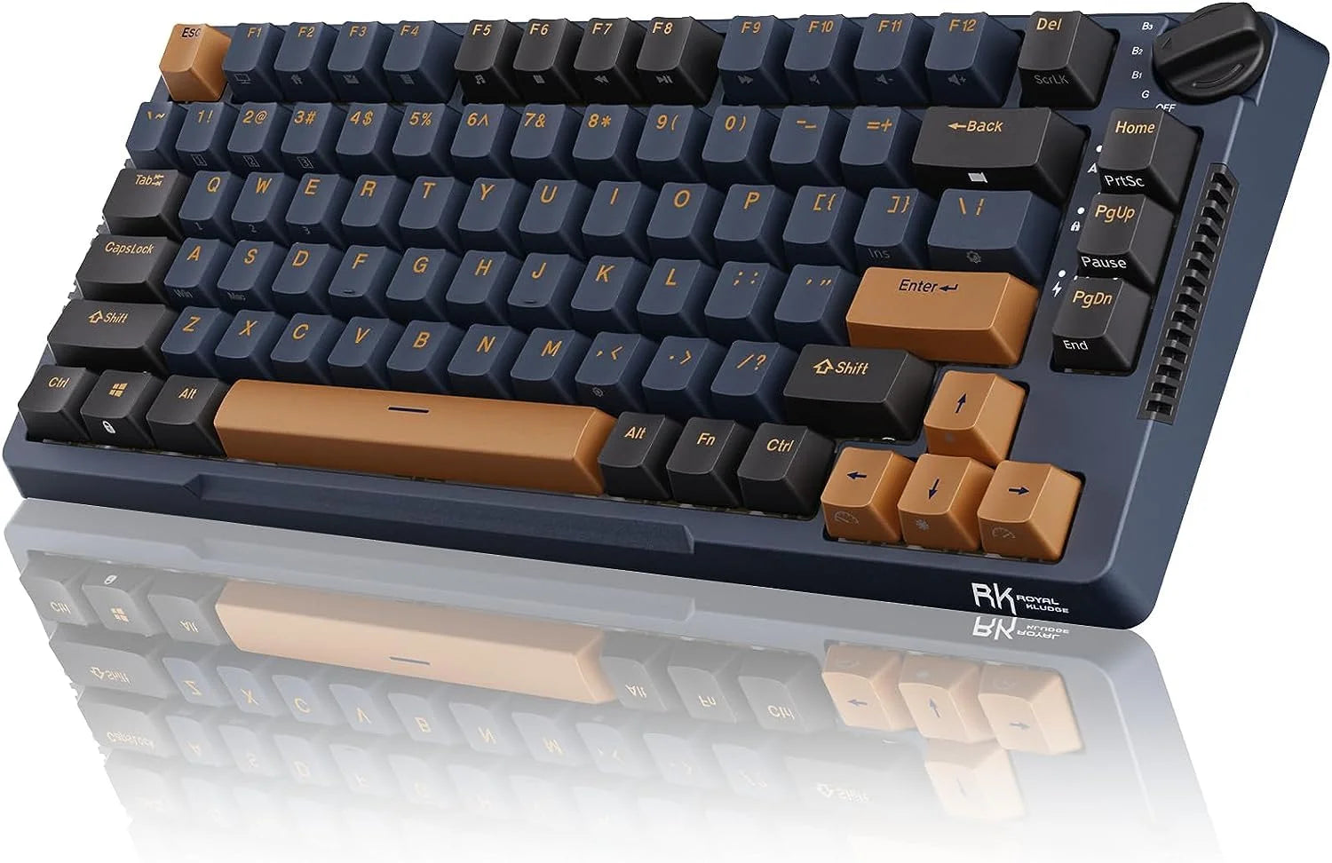 Royal Kludge RK H81 Mechanical Keyboard  Microcenter India