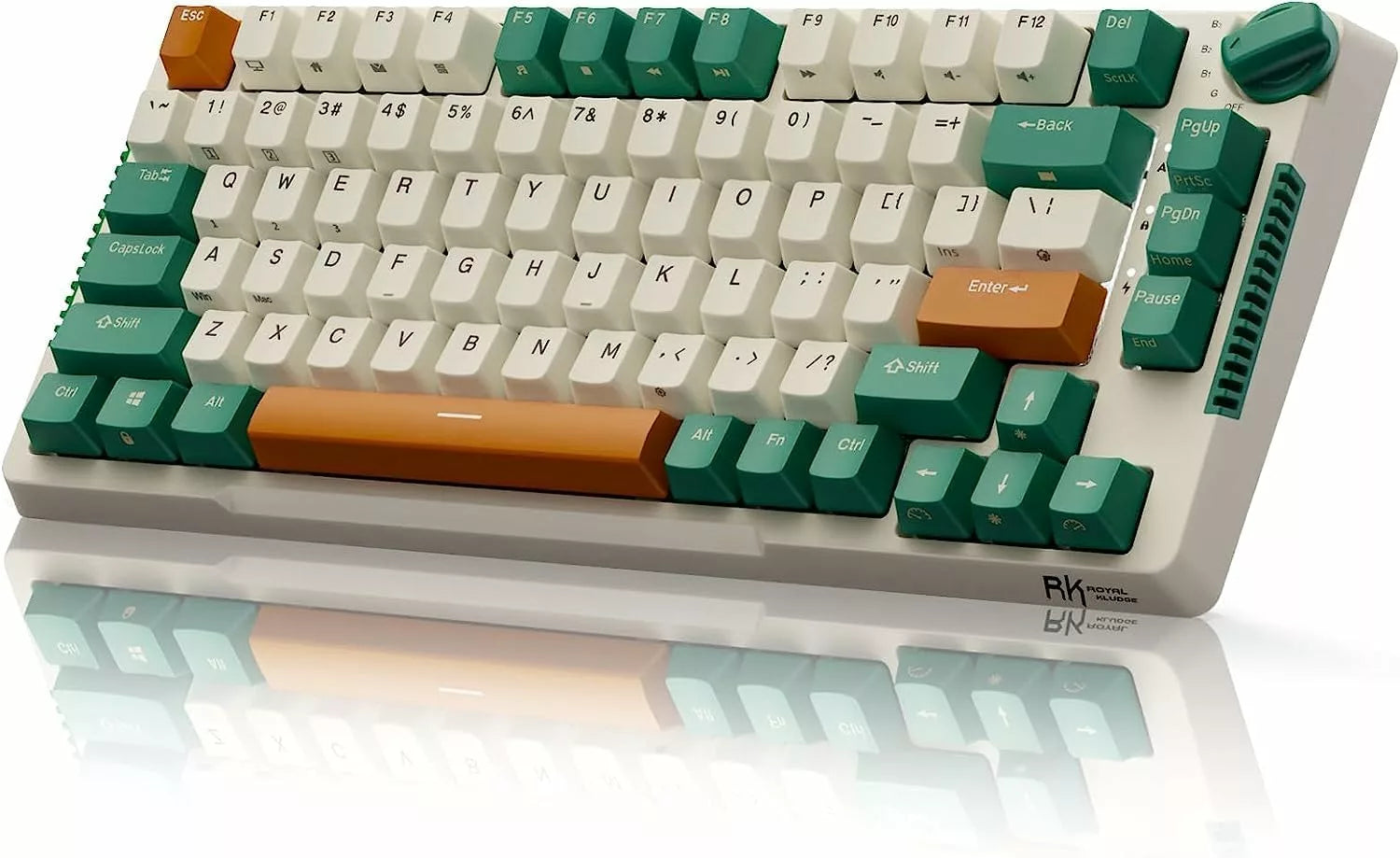 Royal Kludge RK H81 Mechanical Keyboard  Microcenter India