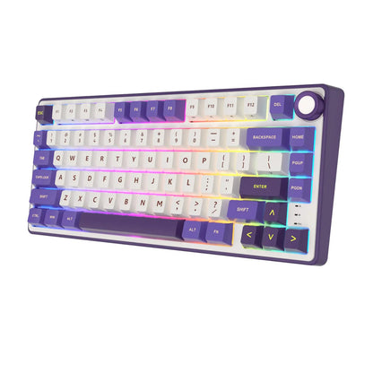 Royal Kludge RK R75 Mechanical Keyboard  Microcenter India