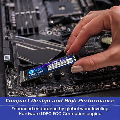 EVM 128GB M.2 NVMe Internal SSD  Microcenter India