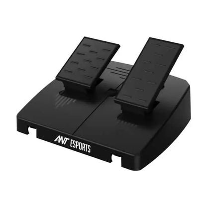Ant Esports GW180 Corsa Racing Wheel And Pedal Set  Microcenter India