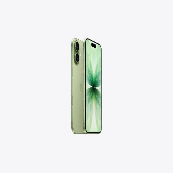 Apple iPhone 17 256 GB SAGE - Microcenter India.
