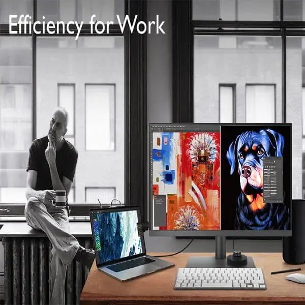 BenQ PD2506Q 25 Inch Designer Monitor  Microcenter India