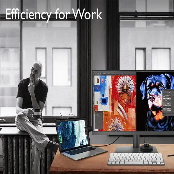 BenQ PD2705U 27 Inch SRGB Designer Monitor  Microcenter India
