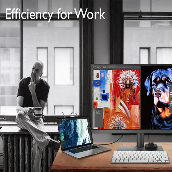 BenQ PD3205U 32 Inch Professional Monitor  Microcenter India