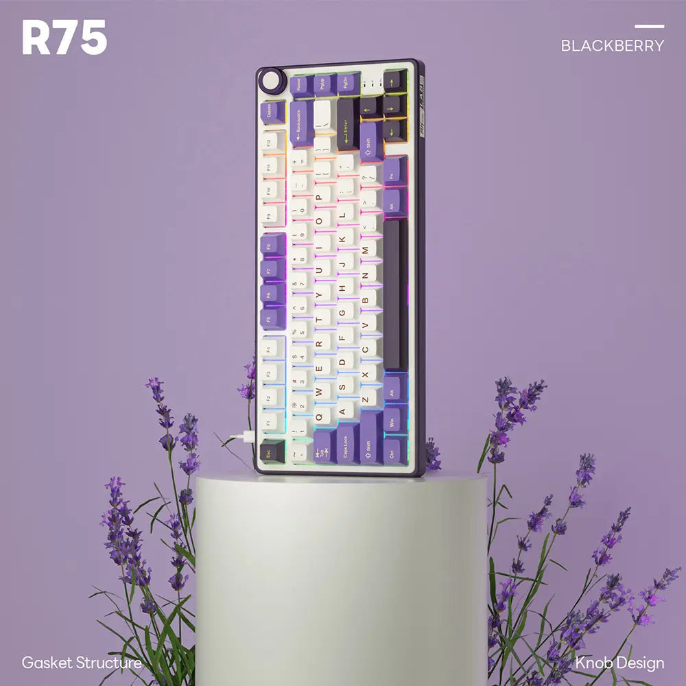 Royal Kludge RK R75 Mechanical Keyboard  Microcenter India