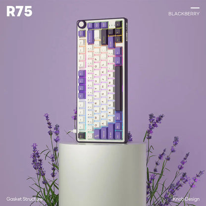 Royal Kludge RK R75 Mechanical Keyboard  Microcenter India