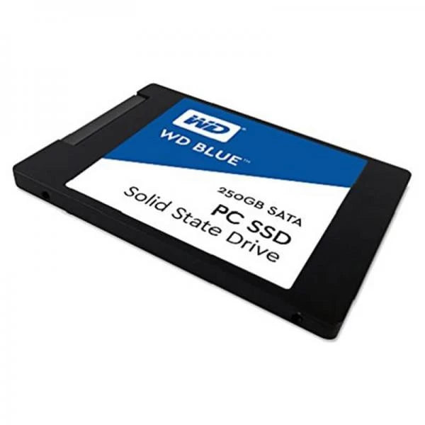 Western Digital Blue 250GB SATA SSD  Microcenter India