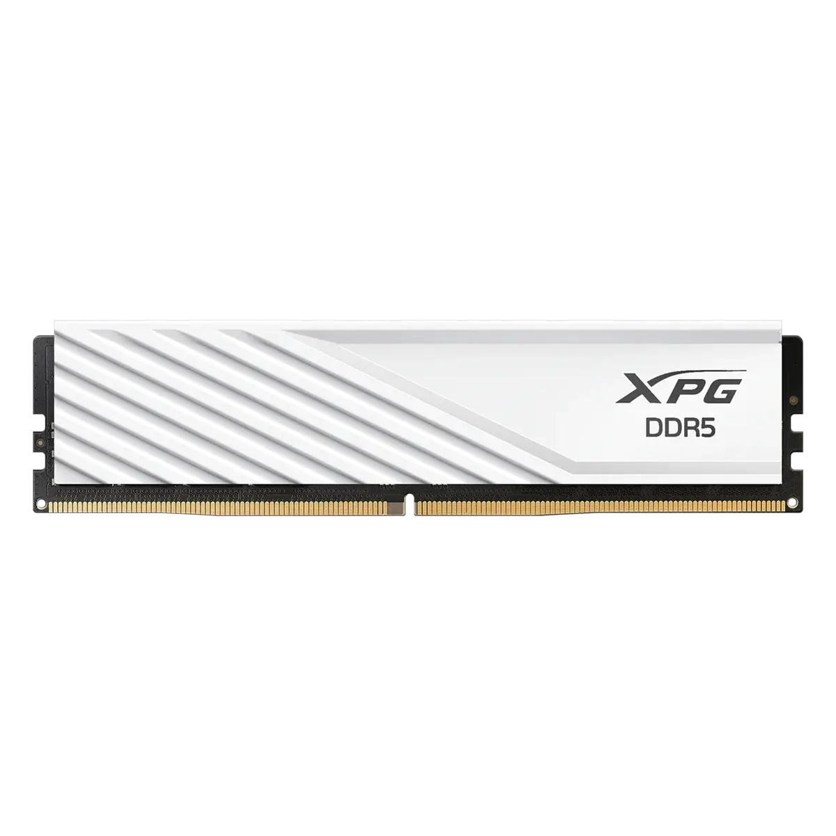 Adata XPG Lancer Blade 64GB (2x32GB) 6000MHz  Microcenter India