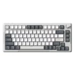 Royal Kludge RK H81