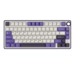 Royal Kludge RK R75